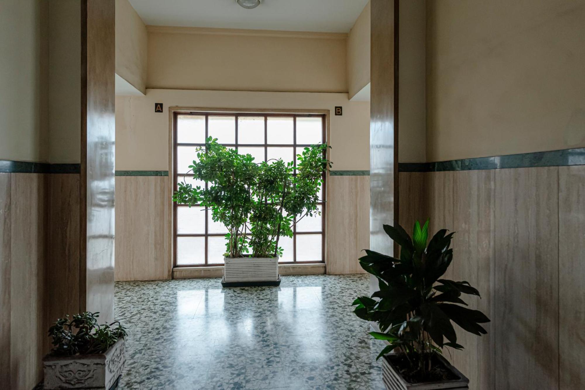 Bed & Breakfast Il Narciso Roma Exterior foto
